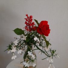 ヒューケラとバラ