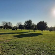 アルキ・ディ・クラウディオ