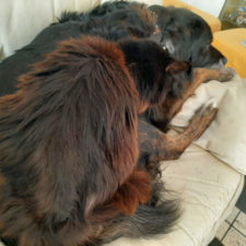 エンネとルーディー