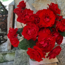 マティアス　メイアン